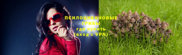 трава Осташков