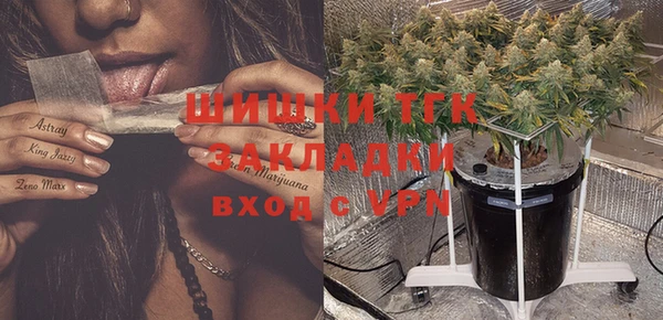 трава Осташков