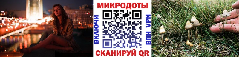 Псилоцибиновые грибы мухоморы Спас-Клепики
